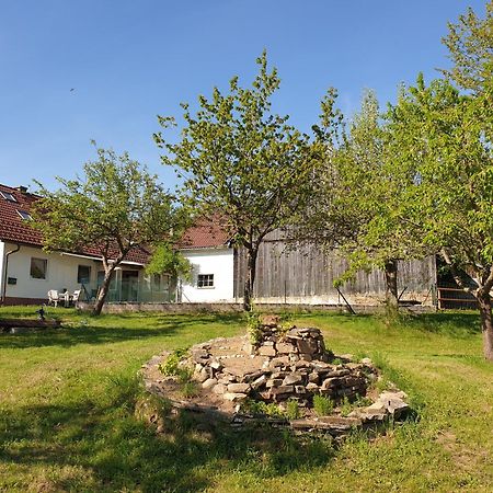 Die Alm In Schoellbuechl, Privatzimmer Sankt Martin  Kültér fotó